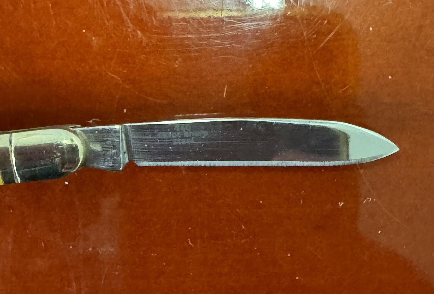 Rough Rider RR373 Bone Folding Pocket Knife in original box !