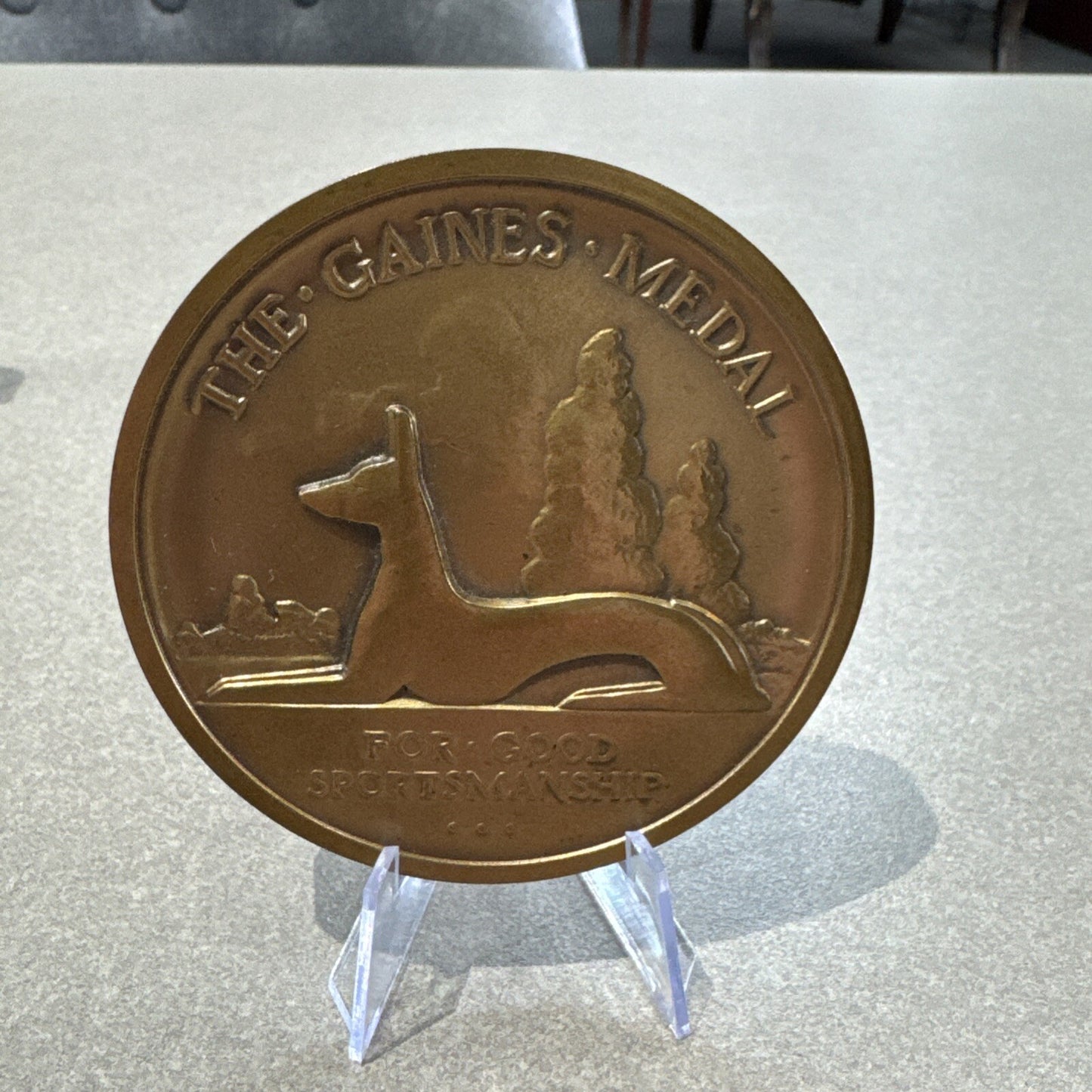 1993 Garden State WEIMARANER CLUB Gaines Bronze Medal Good Sportsmanship in Case