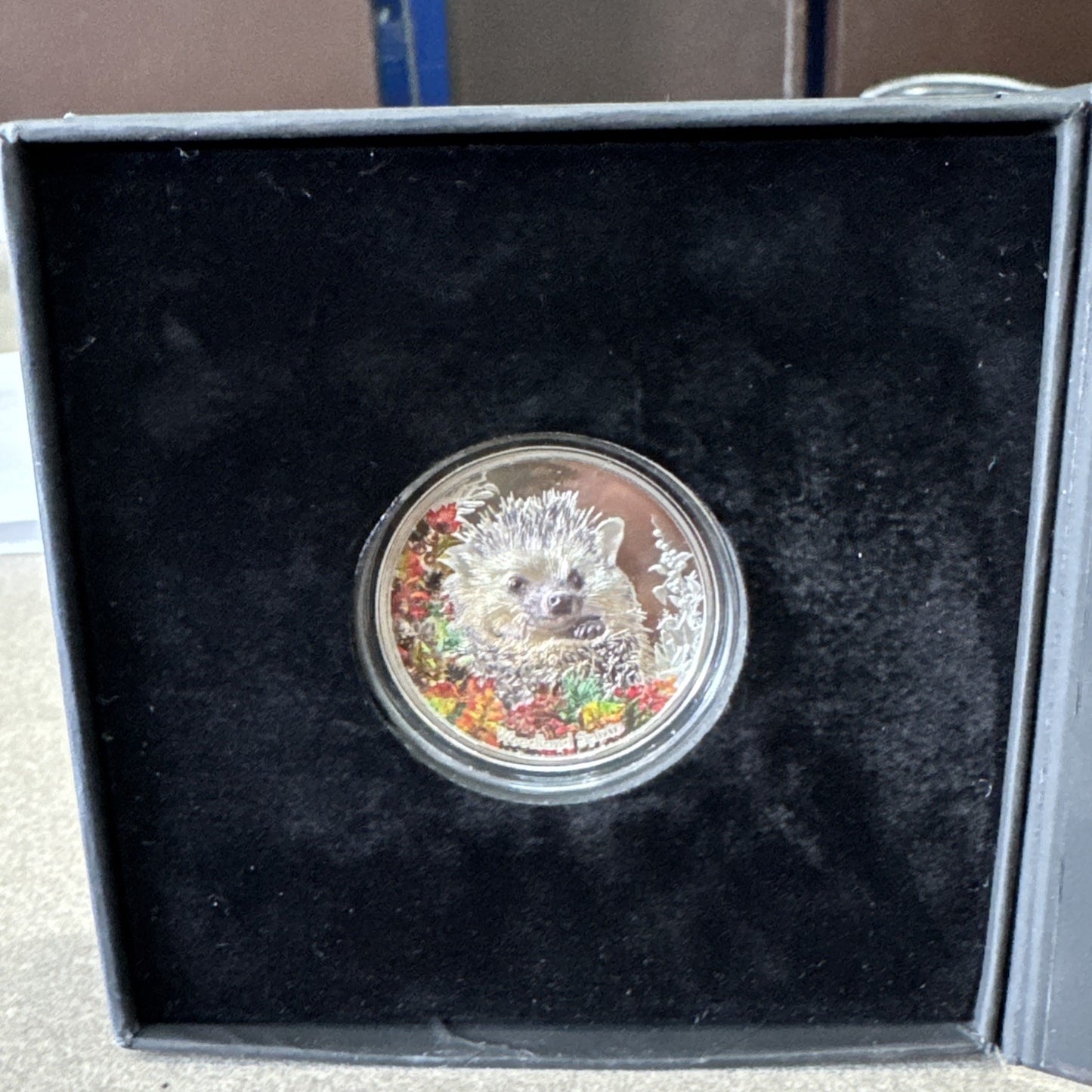 HEDGEHOG Woodland Spirit 1 Oz Silver Coin 500 Togrog Mongolia 2021 Original Box