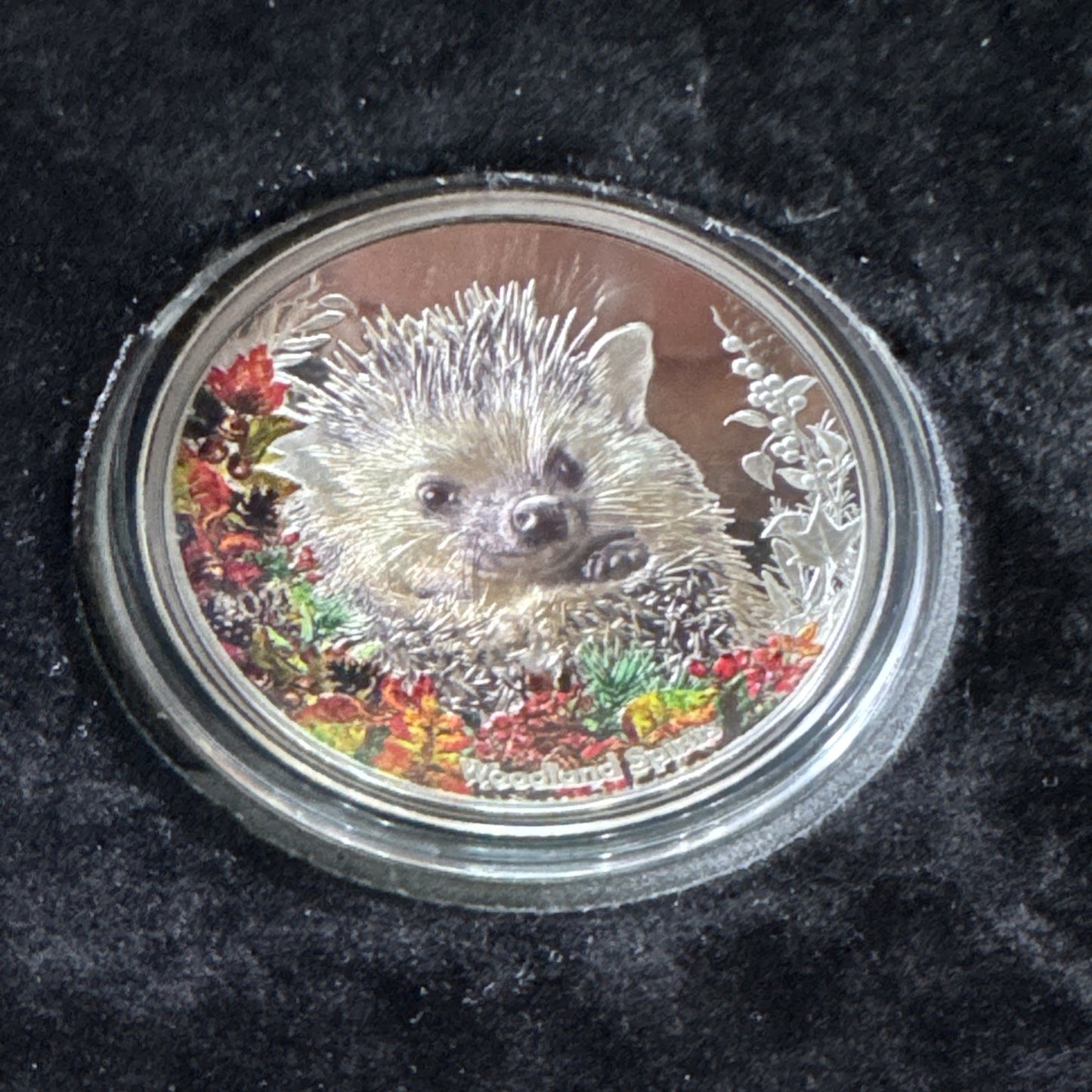 HEDGEHOG Woodland Spirit 1 Oz Silver Coin 500 Togrog Mongolia 2021 Original Box