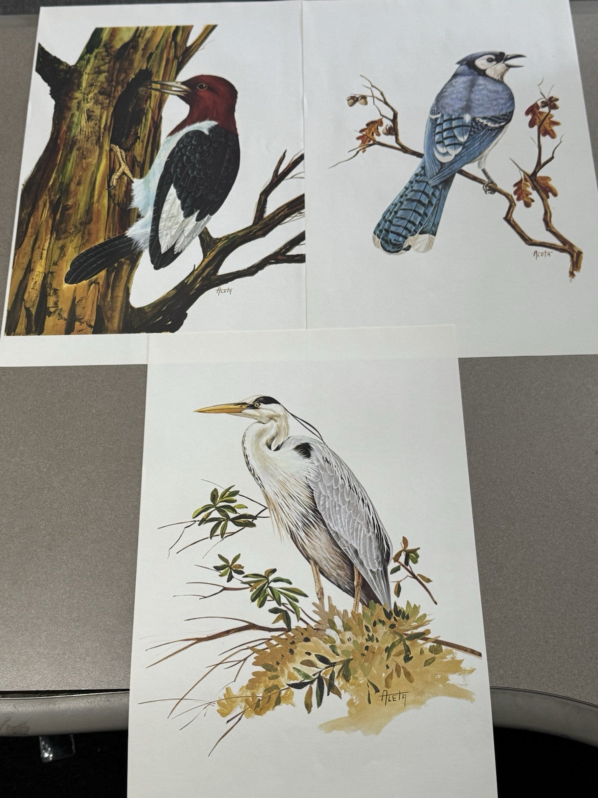 "BIRDS OF AMERICA" LARGE COLOR PRINTS AND 12 OZ. .999 SILVER BARS, #838 Of 7500