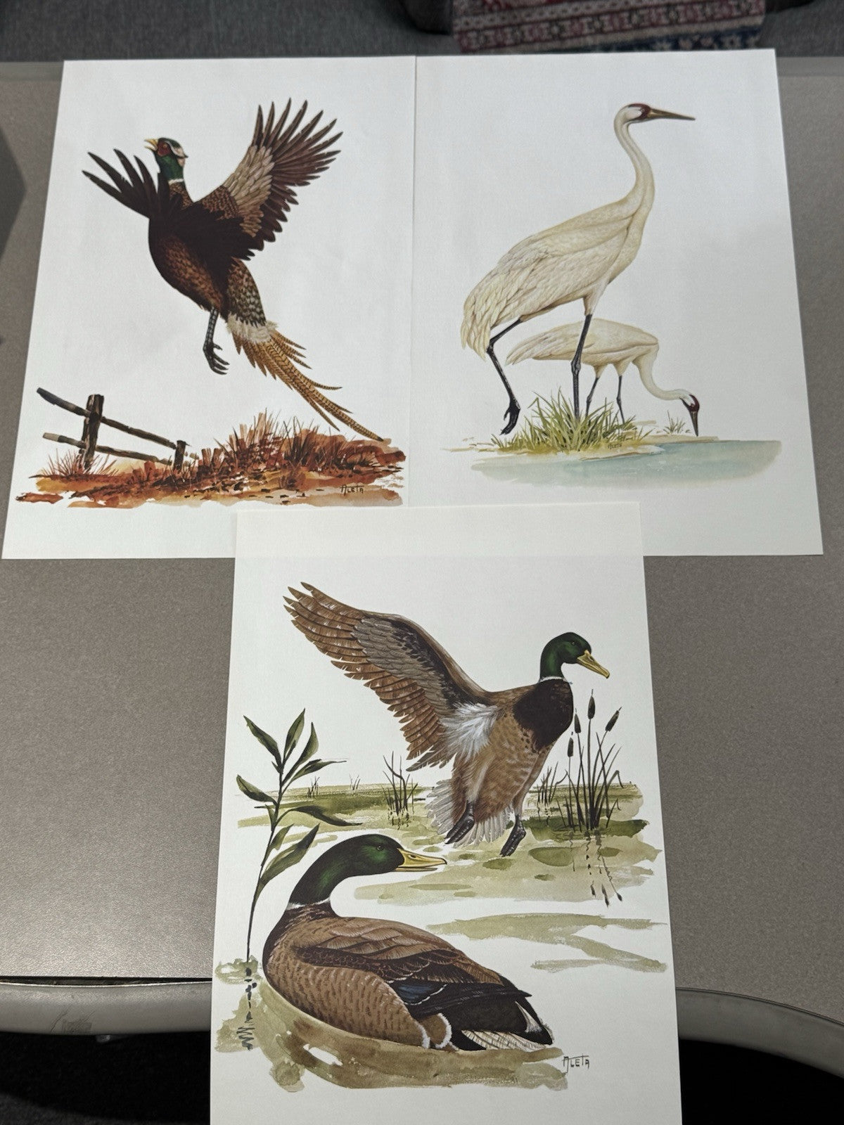 "BIRDS OF AMERICA" LARGE COLOR PRINTS AND 12 OZ. .999 SILVER BARS, #838 Of 7500