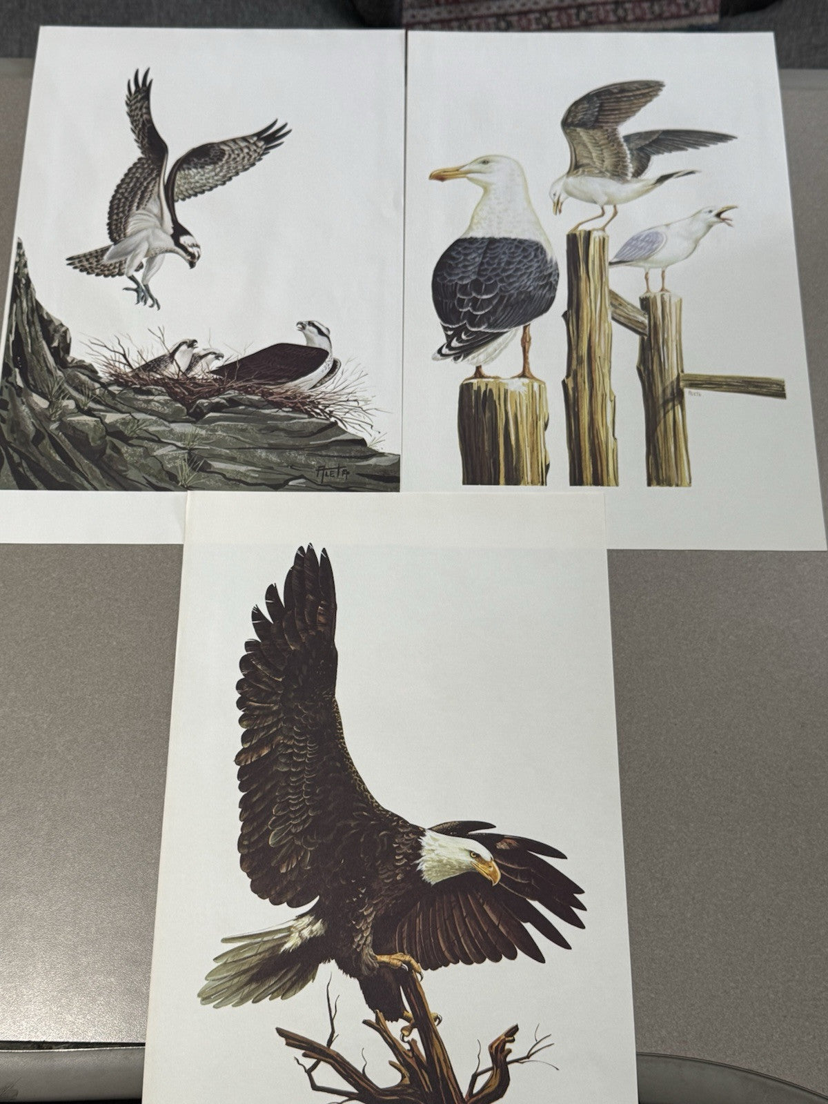 "BIRDS OF AMERICA" LARGE COLOR PRINTS AND 12 OZ. .999 SILVER BARS, #838 Of 7500