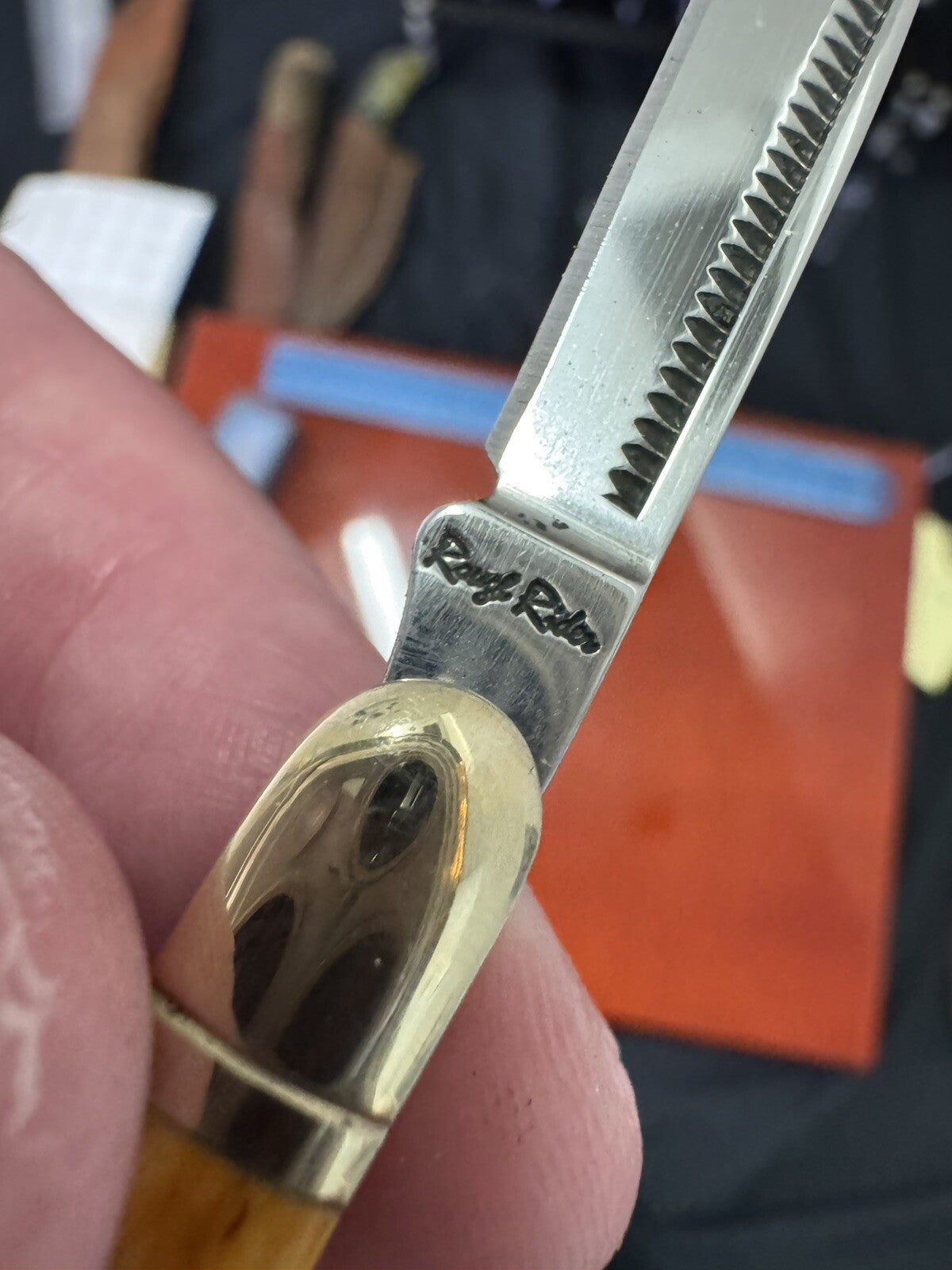 Rough Rider RR373 Bone Folding Pocket Knife in original box !