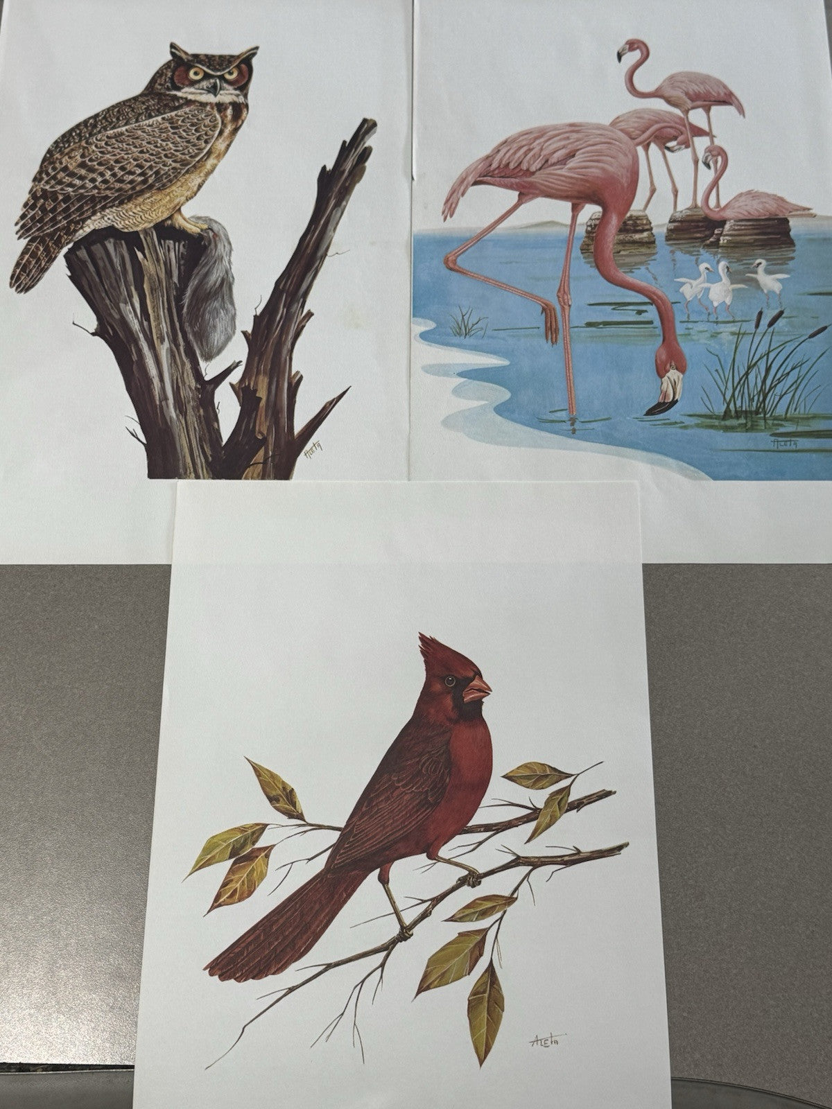 "BIRDS OF AMERICA" LARGE COLOR PRINTS AND 12 OZ. .999 SILVER BARS, #838 Of 7500